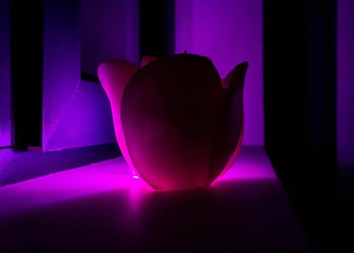 Cozy Old Center - Cal3 Апартаменти