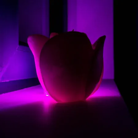 Cozy Old Center - Cal3 Apartment